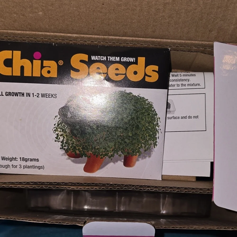 Chia Pet Hello Kitty Handmade Decorative Planter with Chia Seeds